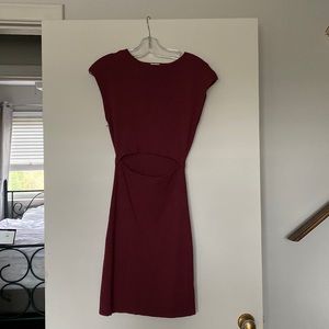 Aritzia wildfred free dress